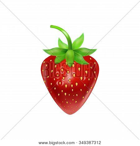 Set Of Realistic Ripe Berryes On A White Background.the Berryes For Advertising, Labels, Organic Agr