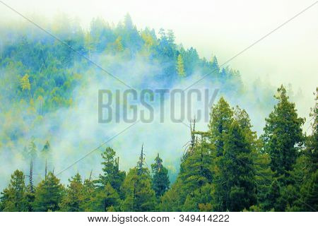 Clouds And Fog Surrounding Lush Forested Mountains Taken In Rural Northern California