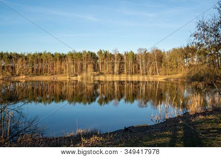 Mirror Forest Lake With Reflection In Winter Sunny Day, Kempen Regio In North Brabant, Netherlands