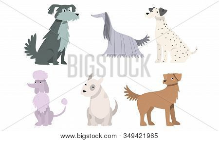 Set Cute Big Small Vector & Photo (Free Trial) | Bigstock