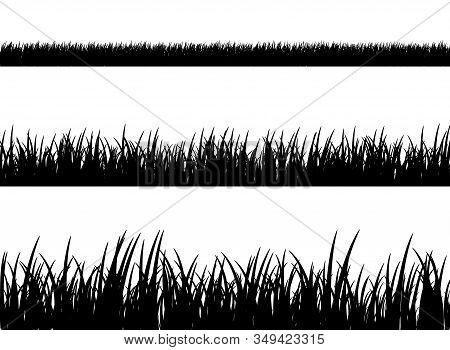 Grass Meadow Border Vector Pattern. Spring Or Summer Plant Field Lawn. Black And White Grass Backgro