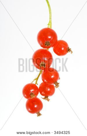 Grosella