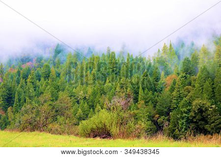 Lush Green Field Besides Forested Mountains Covered With Clouds And Fog Taken In Rural Northern Cali