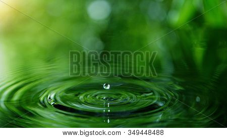 Dropping water in detail, spa and wellness concept. Shot on super macro lens, low depth of focus. Free space for text.