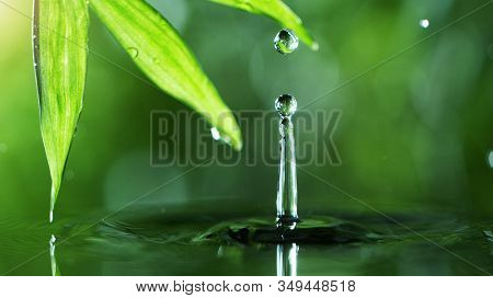 Dropping water with palm leaf, spa and wellness concept. Shot on super macro lens, low depth of focus. Free space for text.