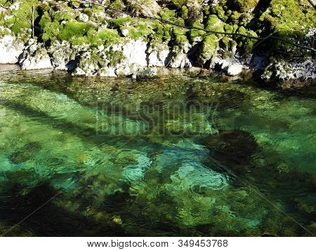 Vintgar Gorge Or Bled Gorge And Radovna River (soteska Vintgar Ali Blejski Vintgar In Reka Radovna) 