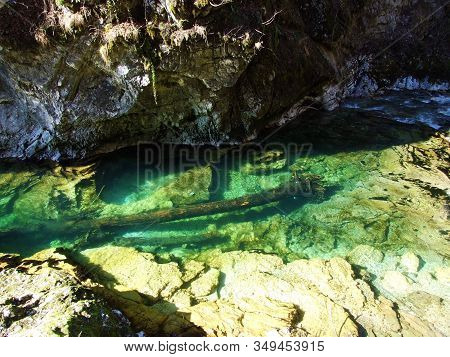 Vintgar Gorge Or Bled Gorge And Radovna River (soteska Vintgar Ali Blejski Vintgar In Reka Radovna) 