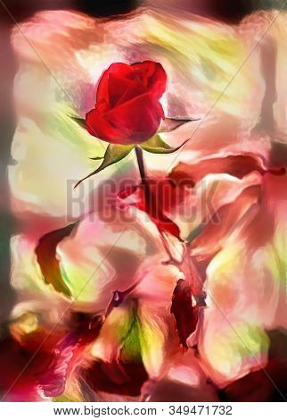 Red Rose Flower In The Garden At Autumn