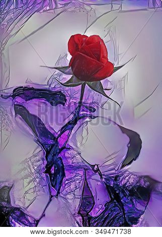 Red Rose Flower In The Garden At Autumn