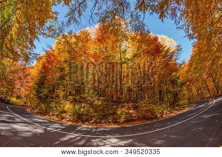 Beautiful View Of A Forest With Trees And Foliage Autumn Leaves, Sfanta Ana, ‎harghita County, Roman