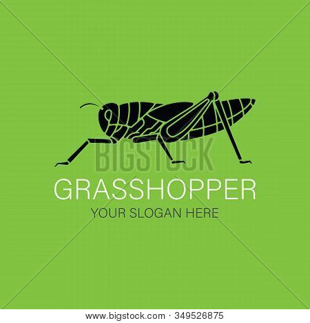 Grasshopper Logo Design Vector Template Silhouette Style. Black Icon. Creative Logotype Concept.