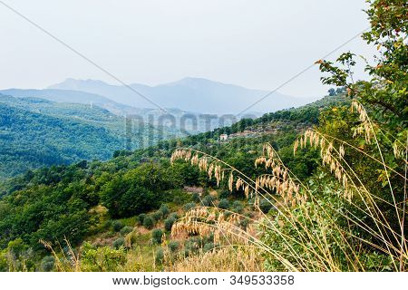 Panoram View Of Cilento National Park Near Roscigno, Cilento, Campania, Italy