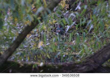 Zhytomyr, Ukraine - September 30, 2019: Realistic Hunting Or Fisherman Pattern Green Reeds And Weeds
