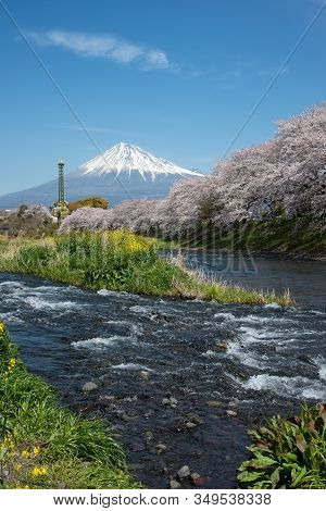 The Scenery Of The Urui River In Springtime That Plenty Of Sakura Blooming And Yellow Flowers In Shi