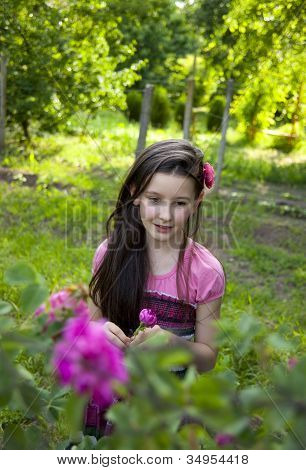 im Rosengarten
