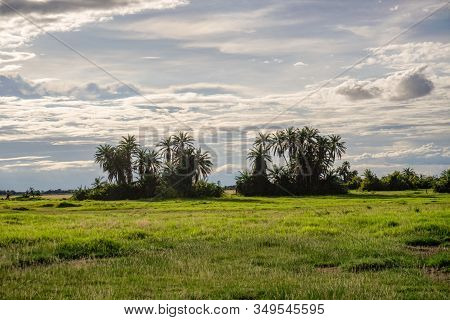Landscape Pictures From The National Park Tsavo East Tsavo West And Amboseli