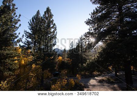 Autumn Forest Scene With Hiking Path With Blue Sky