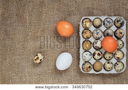 Organic Quail Eggs And Brown And White Chicken Eggs Of Uncooked Freshness Nutrition On Flaxen Brown 