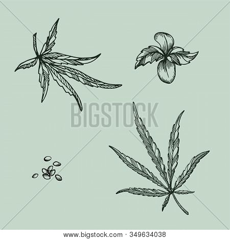 Cannabis_set_3.eps