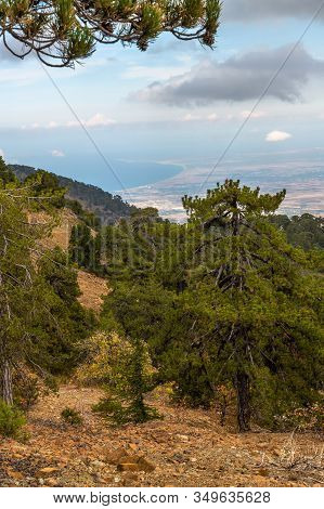 View From Mount Olympus, Highest Peak Of The Island Of Cyprus.