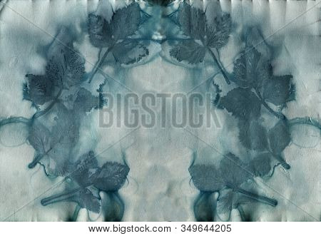 Ecoprint Leaves. Imprint Of A Real Plant On Paper.  Blue Vintage Background