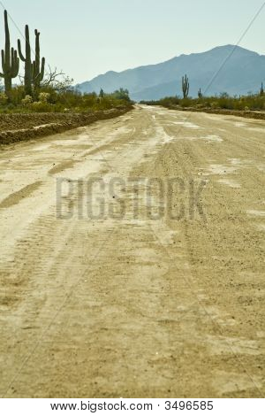 Arizona Backroad