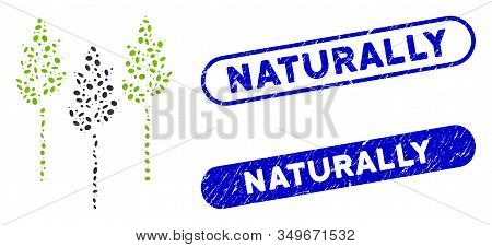 Mosaic Wheat Ears And Distressed Stamp Seals With Naturally Phrase. Mosaic Vector Wheat Ears Is Crea