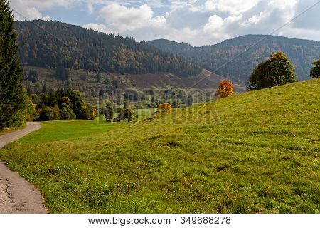 Landscape With Green Meadow, Multi Colored Trees, Mountain Range With Forest Nearby Menzenschwand, B