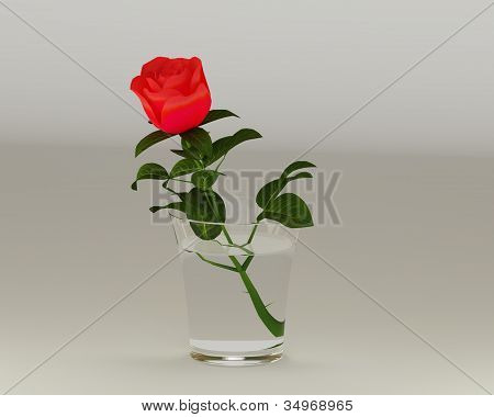 3D Rose