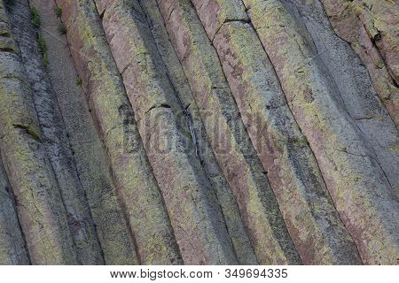 The Spectacular Vertical Rock Columns That Form Devils Tower National Monument In Wyoming Showing Wh
