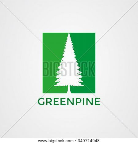 Pine Tree Icon Logo Design. Vector Illustration