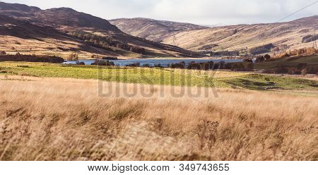 Heather Covered Hills Around Loch Freuchie In Perthshire, Scotland