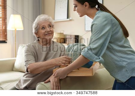 Young Woman Serving Dinner For Elderly Woman In Living Room. Senior People Care