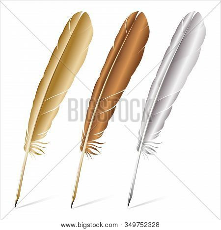 Realistic Of Multicolored Feathers On A White Background