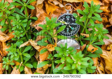 Conceptual Autumn Landscape With A Metallic Compass In The Grass,sfanta Ana, Romania