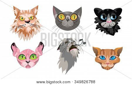 Set Of Different Cute Cat Faces. Vector Illustration In Flat Cartoon Style.