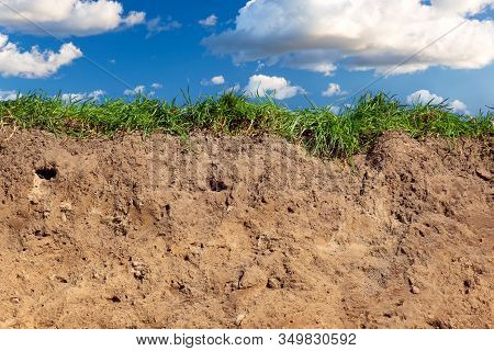 Topsoil Of A Cambisol Or Inceptisol Formed Of Till On A Cliff At The Baltic Sea Near Heiligenhafen I