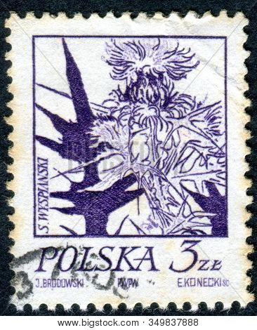 Poland - Circa 1974: A Stamp Printed In Poland, Depicted Wyspianskis Flower Drawings - Thistle, Circ
