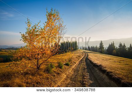 View Of The Path In The Countryside. Path Going To Horizons. Sunny Day With Blue Sky In The Country.