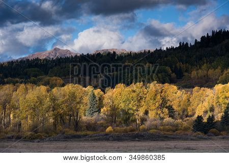 Autumn Gold In The Weminuche Valley With High Mountain Peaks Dominating The Horizon. A Early Morning