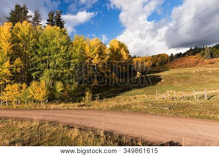 A Forest Service Road Takes Visitors Through The San Juan National Forest In Early Autumn, North Of 