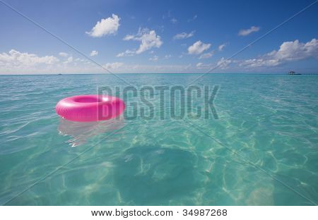 La ciambella rosa