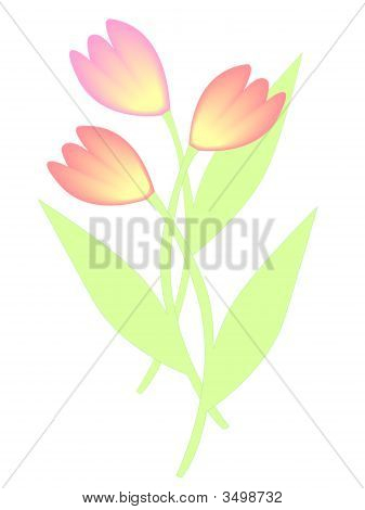 Tulipani luminosi