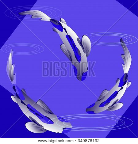 Set With Fish, Multi-colored Carp Koi On Blue Background. Vector Illustration, Cyprinus Carpio.
