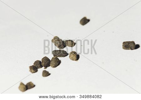 Portion Snus Tobacco For Use Through The Gums.