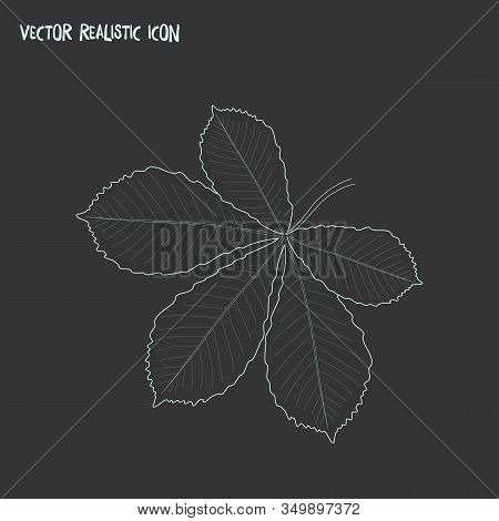 Chestnut Leaf Icon Line Element. Illustration Of Chestnut Leaf Icon Line Isolated On Clean Backgroun
