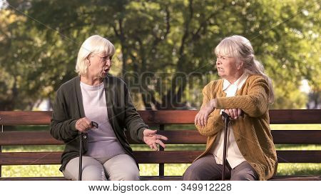Two Senior Ladies Arguing And Sitting On Bench In Park, Grumpy Elders, Dispute