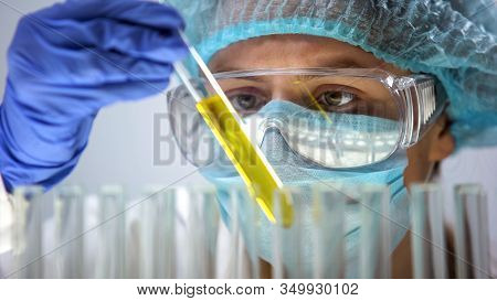 Researcher Analyzing Test Tube With Petrol Sample, Checking Product Quality