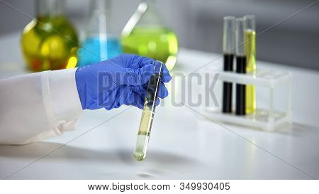 Chemist Looking At Petrol Sample, Analyzing Sediments And Product Quality, Fuel