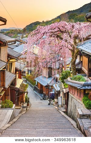 Kyoto, Japan springtime in the historic Higashiyama district art dawn.
